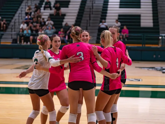 Wildcats defeat Blue Devils, raise nearly $2,000 for Pink Out
